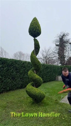 Lawn Edging | Landscaping | Cleaning | Trimming | Cutting #shorts #satisfying #gardening