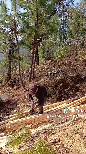 Outdoor Wood Stacking Techniques Demonstrated
