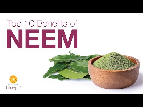 Top 10 Benefits of Neem, Ayurveda's 'Queen of Skin' | Dr. John Douillard's LifeSpa