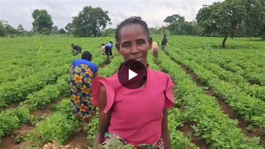 #giz #csa #cfu | Conservation Farming Unit Zambia Ltd