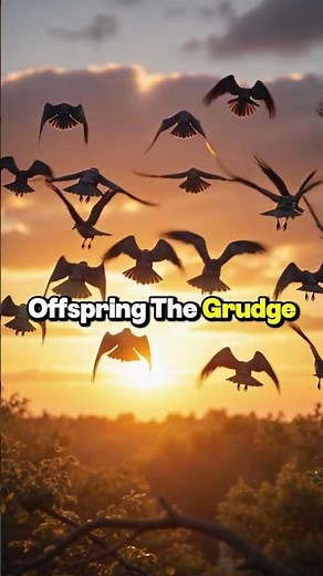 The Intelligent Crow: A 15-Year Grudge 🐦‍⬛🧠 #crow #animalintelligence