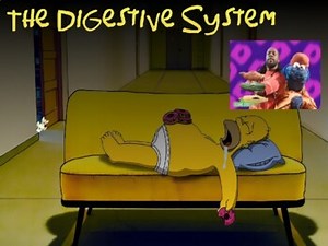 Digestive System [Powerpoint & Video Lesson]