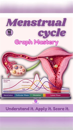 Mastering Menstrual Cycle Graphs for Life Sciences Exams