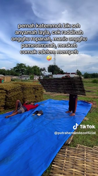 Layla Semanis: Lagu Madura dan Kebangkitan Tembakau