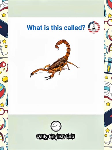 Learn English Vocabulary with Pictures. Insects names. #insects #english #englishvacabulary #englishmadeeasy #fyp