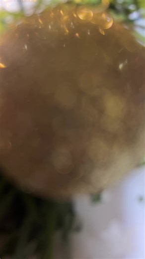 Deli…. 😋🫰🏻💖🎄 #merrychristmas #navidadentiktok #chocolate #feliznavidad #parati