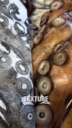 The Art Of Printing a Fish.