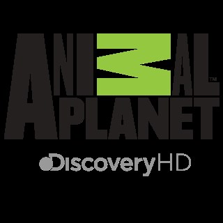 ANIMAL PLANET en VIVO