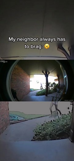 He thinks he’s cool smh… #unexpected #roborockrun #fyp #funny #comedy #ring #ringdoorbell #cute #wholesome #🥺 #❤️ #feelgood #cc