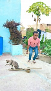 7.5M views · 44K reactions | Billi ke sath masti #reels #post #viral #trending #facbook #editing | Suraj Kushwaha | Facebook