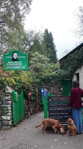 Grasmere gingerbread is just amazing #thelakedistrict #lakedistrict #gingerbread #travel #adventure