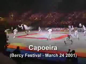 Martial Arts .Kung Fu,Capoeira