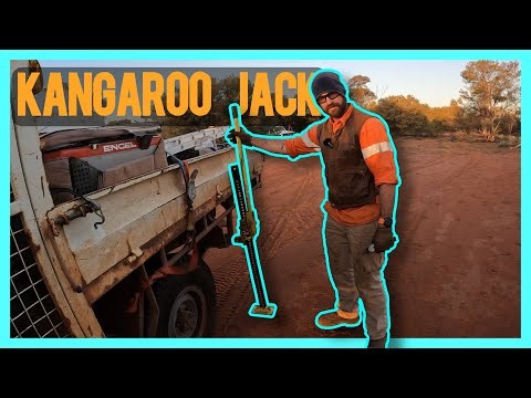 FOUND FOOTAGE! Kangaroo Jack Expert? Tips and Techniques