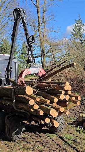 Shifting some sticks with the 'small but mighty' Superbullet 💪