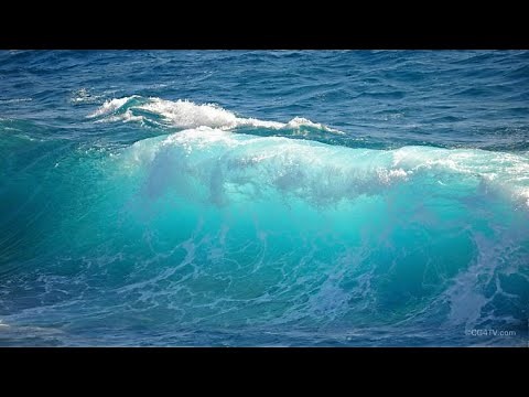 Baha'i Prayer for Oneness- Waves of the Sea