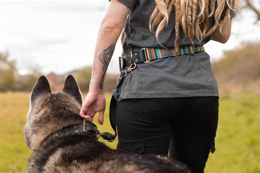 Hands-free Dog Walking Belt: Adjustable Fabric & Biothane - Dog Lover Gift - Etsy