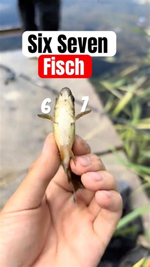 Folgt für mehr 👀😂 | bisbaldrian #shorts