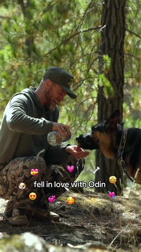 Heart of the Beast - Brad Pitt & Odin