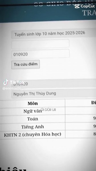 Hướng Dẫn Tra Cứu Điểm Thi Tuyển Sinh Lớp 10
