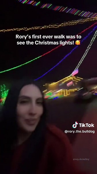 Rory’s first walk! #puppy #bulldog #christmas #dogsoftiktok #fyp @Domi 🖤 @MrToxic