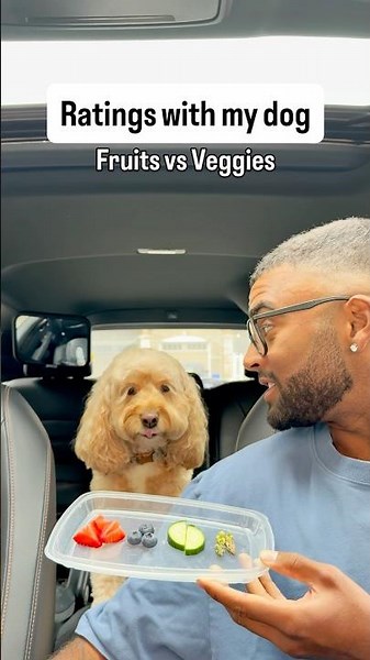 Mini Cockapoo Chooses Between Fruits vs Veggies 😳