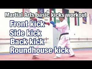 Karate basic kicks
