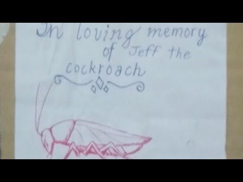 Playing doom on java