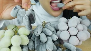 ❤️SAS❤️ on Instagram: "ASMR EATING SOUNDS. Frozen grapes are like popsicles. Of course my darn tastebuds didn’t want this in the summer time lol. . . Oh and some of you guys thought I had a special freezer or something to freeze these. Nope. Just regular freezer😅. I left them in there for two days! . . . . . #asmr #asmrfood #asmrsounds #eatingsounds #asmreatingsounds #frozen #frozengrapes #frozenfruits #sogood #youtube #eatingvideo"