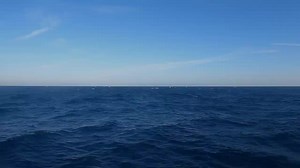 93 reactions · 9 comments | Estamos muy emocionados por presentar el...