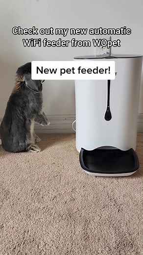 Discover the Amazing WOPET Magical Food Machine for Your Pet!