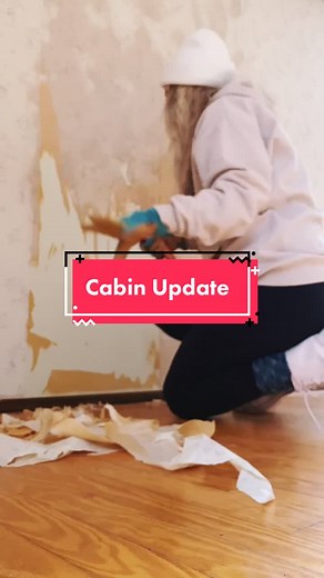 #ProjectCar #renovation #remodel #cottagecore #home #cabin #logcabin #DailyVlog #homerenovation #cleaning #satisfying