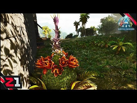Plant Species X BASE DEFENSE ! Ark Survival Ascended [E9]
