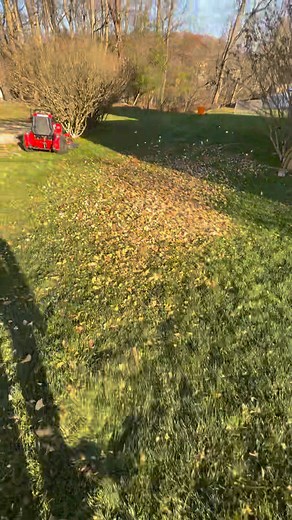 1.3K views | Get your yard ready for winter with Green Hills Lawn Service! Our fall clean-up services will tidy up leaves, and prepare your lawn for a healthy spring. Don't wait-schedule your clean-up today and ensure your outdoor space shines this season! | Green hills lawn service | Facebook