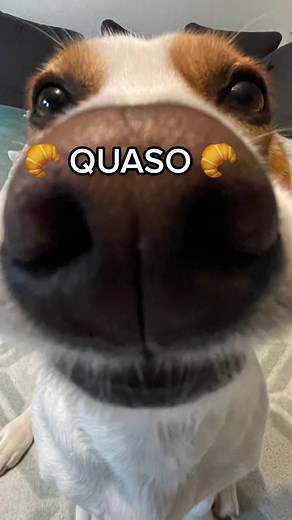 Today I Wanted to Eat a Croissant