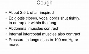 Sorry, we have encountered a problem. - Alexander Street, a ProQuest Company