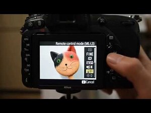 NIKON D750 LIVE VIEW menu