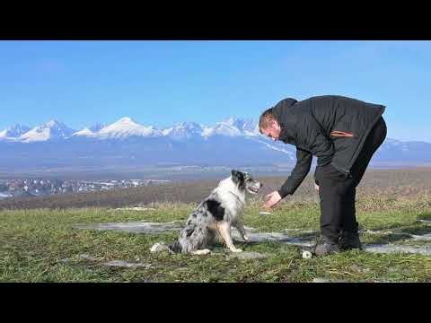 Rainy Night in Tokyo | Chill & Atmospheric DnB Mix