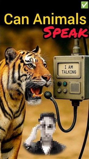 Are Animals Actually Talking To Each Other❓#shorts #animal