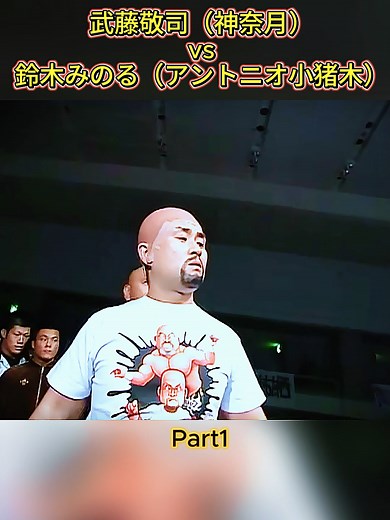 武藤敬司対鈴木みのるのクライマックス
