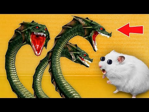 🦖 HYDRA Monster - Hamster Maze with Traps ☠️[OBSTACLE COURSE]