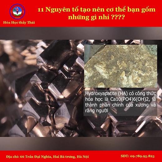 Bạn có biết mình được cấu tạo từ những nguyên tố hóa học nào #learnontiktok