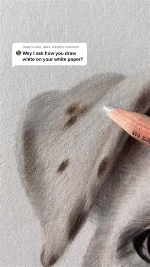 How to Draw White Fur on White Paper | Art Tutorial