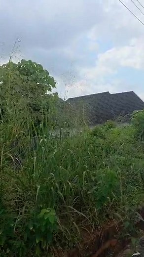 2K views · 16 reactions | ‼️‼️‼️#ForSale 60/110ft Location; Federal housing /Malaysia estate , Asaba Price; N100M #For_your_best_property_deals; Contact us on; 08033707199 Call/ Whatsapp IG; @asabaproperties_ FB; Sir Jay & Partners -Asabaproperties #Sirjaynpartners #Asabaproperties #realestate #asaba #investors #explore #explorepage #IgiligiAku | Sir Jay & Partners -Asabaproperties | Facebook