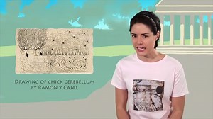 Santiago Ramón y Cajal: biography of this pioneer of neuroscience