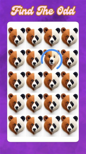 Find the Odd One Out – Can You Solve It?