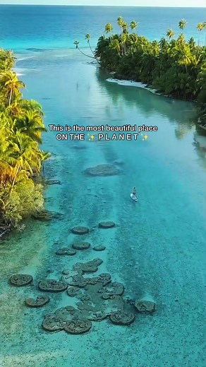 Exploring the Stunning Beauty of Rangiroa in French Polynesia