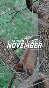 10K views · 247 reactions | 43 minutes of some of the BEST hunting...