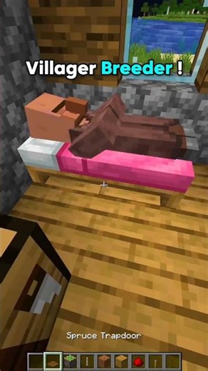 VELLEGER BREADER 🤣#minecraft #mincraftbuilding