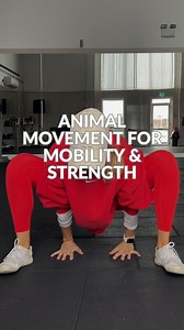 12K views · 7.8K reactions | ✨Mobility Training inspired by Animal...