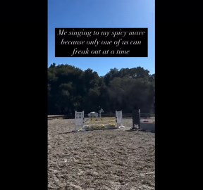 Horse Jumping Training: Calming a Nervous Mare